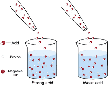 Strength and Concentration of Acids/Bases - All you need ... diagram strong acid solution 